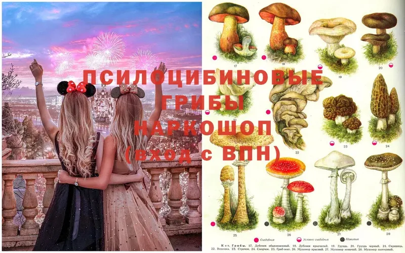 где найти наркотики  Бузулук  Псилоцибиновые грибы MAGIC MUSHROOMS 